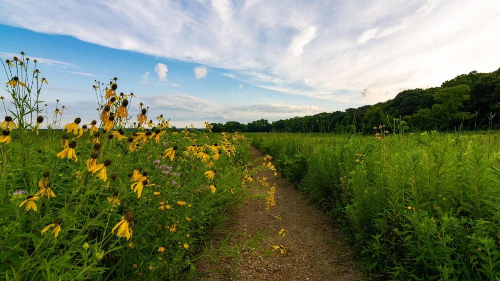 God Designed Nature to Boost Our Mental Health