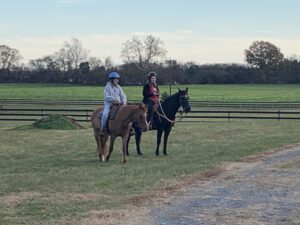 Equine Assisted Learning