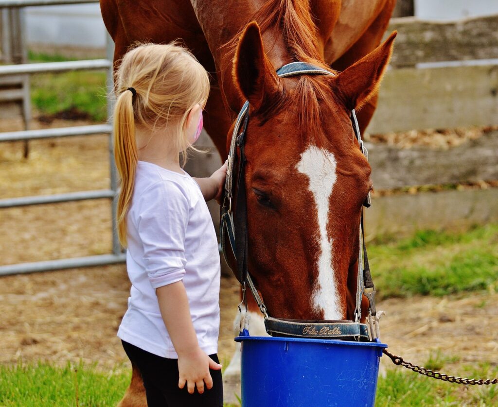 Child and Horse