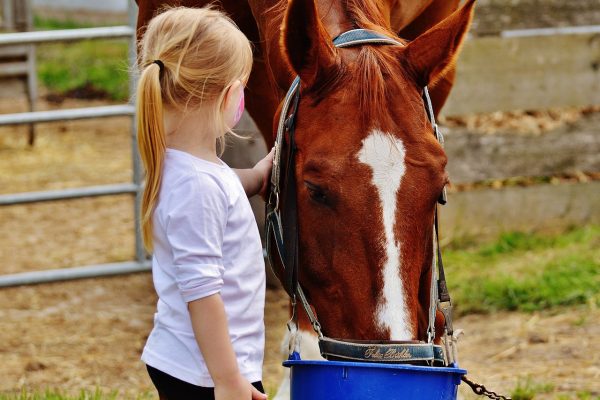 Child and Horse